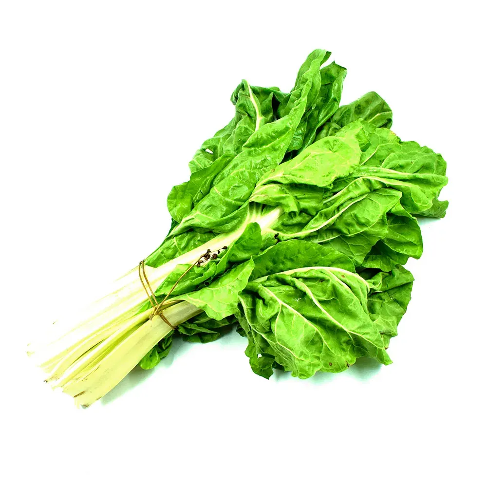 Acelga