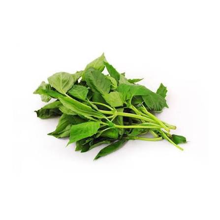 Albahaca