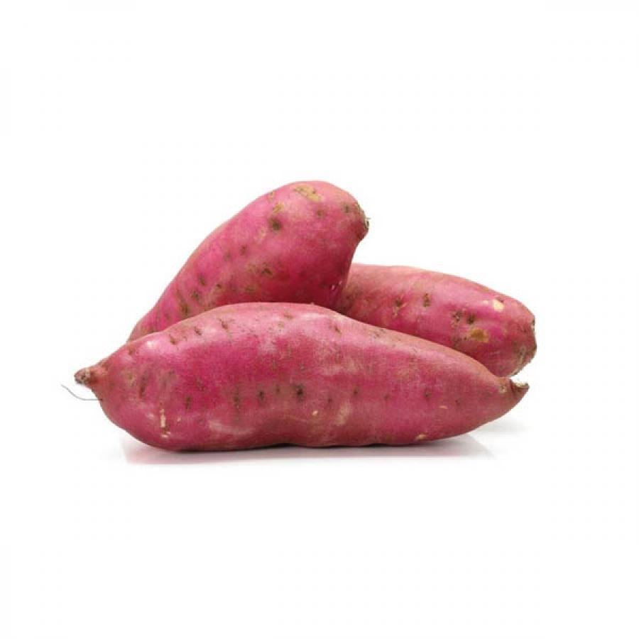 Boniato criollo especial