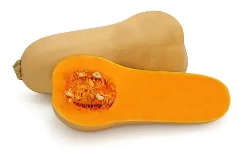 Calabacín especial