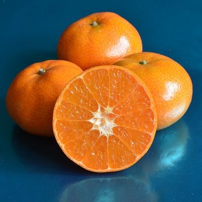 Mandarina Afourer especial