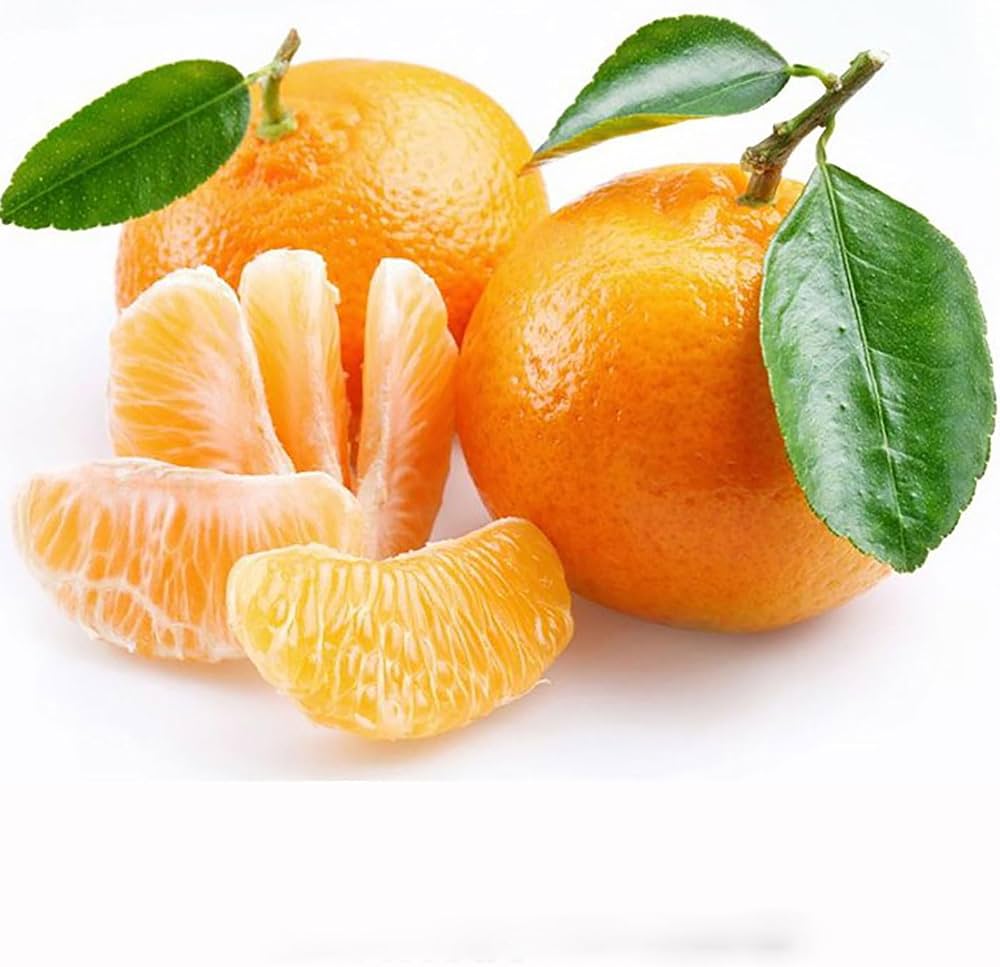 Mandarina Avana segunda