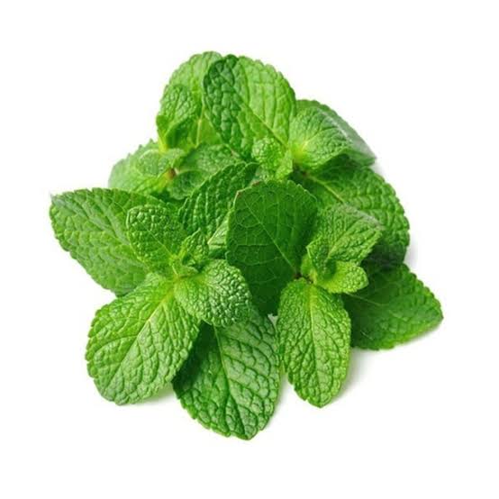 Menta 