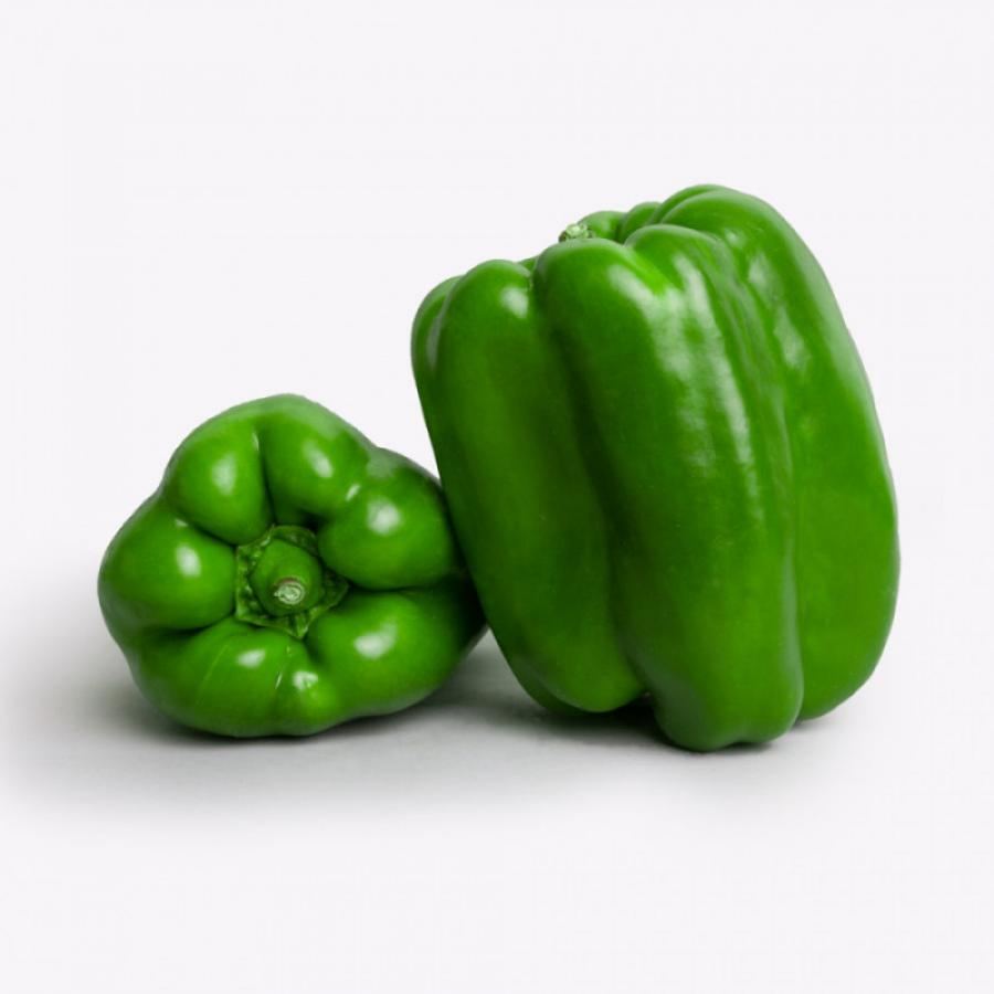 Morrón verde Especial