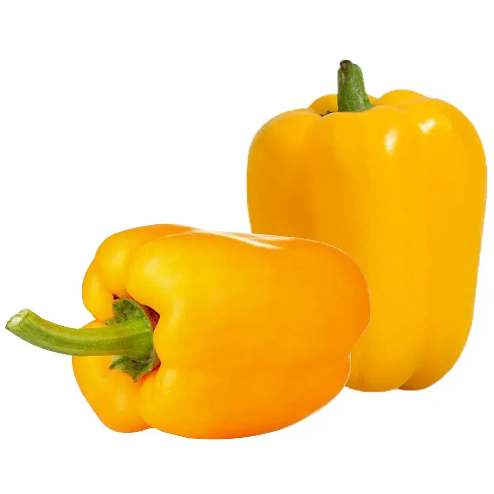 Morrón amarillo Especial