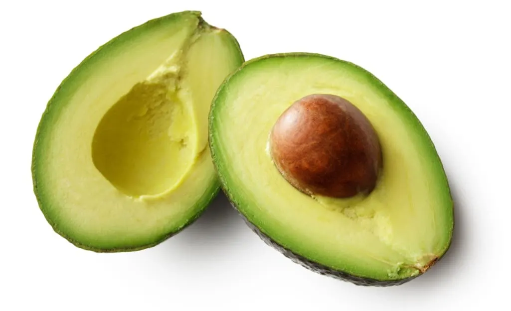 Palta Hass primera