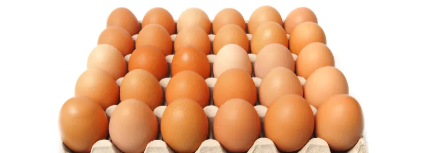 Huevos Colorados N°1 Envasados