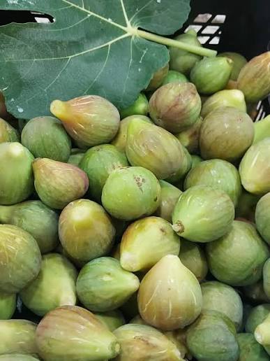 Guayabo criollo, precio por kg
