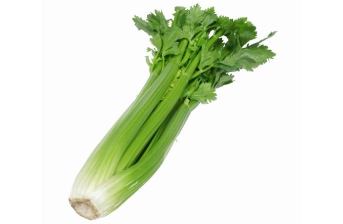 Apio planta, precio por unidad