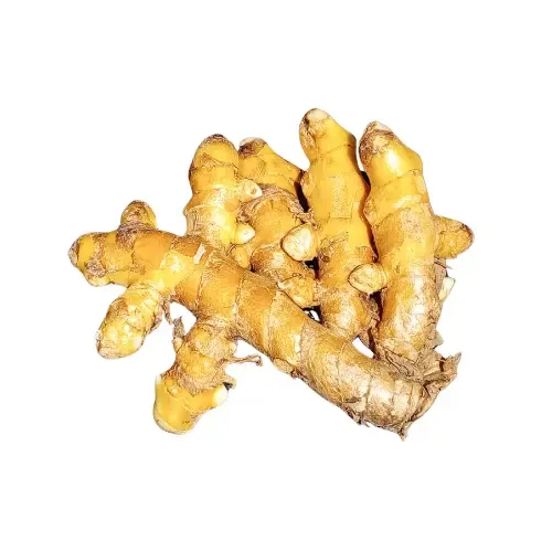 Cúrcuma raíz, precio por 100g