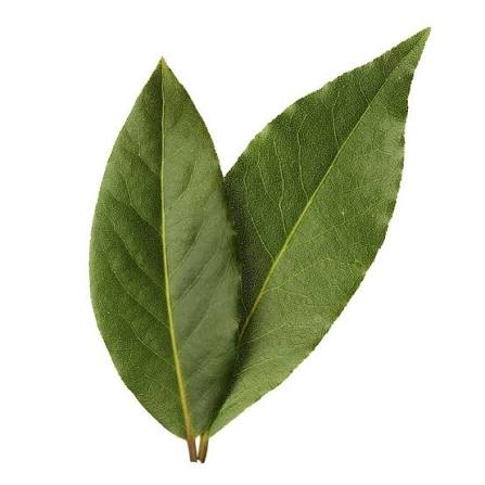 Laurel Sobre, precio por paquete