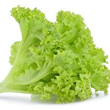 Lechuga Crespa , precio por unidad
