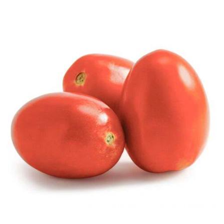 Tomate Perita Extra, precio por kg