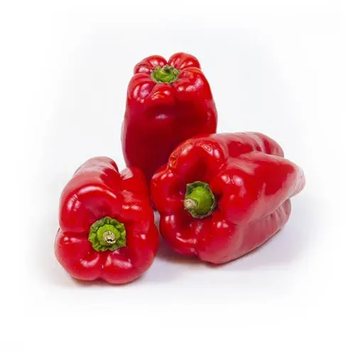 Morron Rojo Nº1, precio por kg