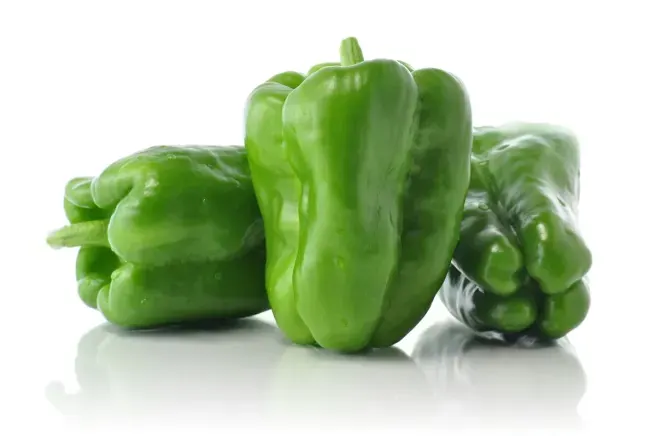 Morron Verde Nº1, precio por kg