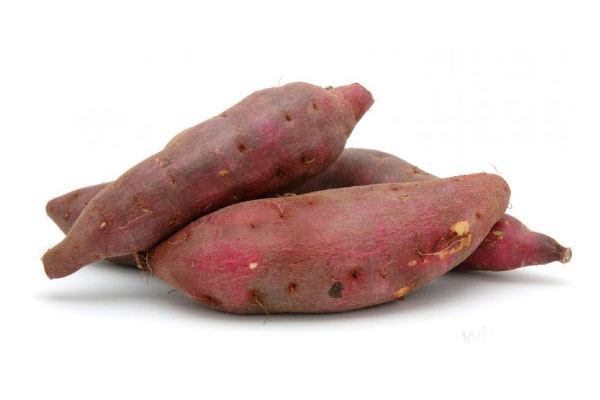 Boniato Criollo N°1, precio por kg