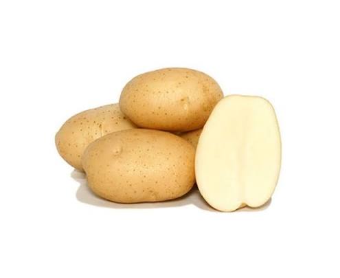 Papa Blanca Nº1, precio por kg