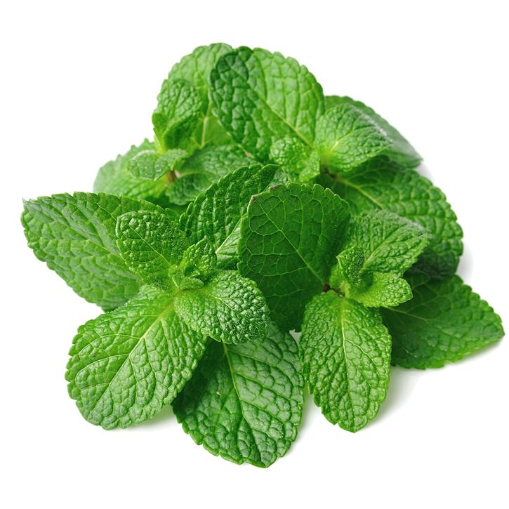 Menta , precio por paquete