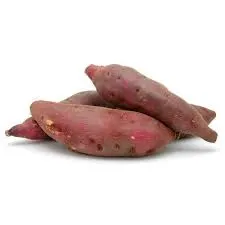 Boniato Criollo Nº3, precio por kg